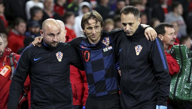 凭借顽强的 凭借顽强的