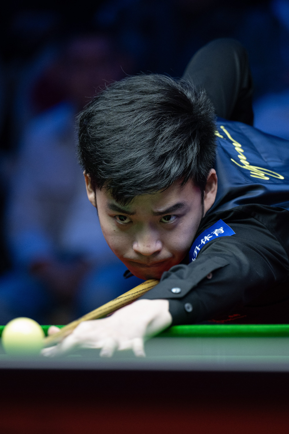 的体育进化 的体育进化